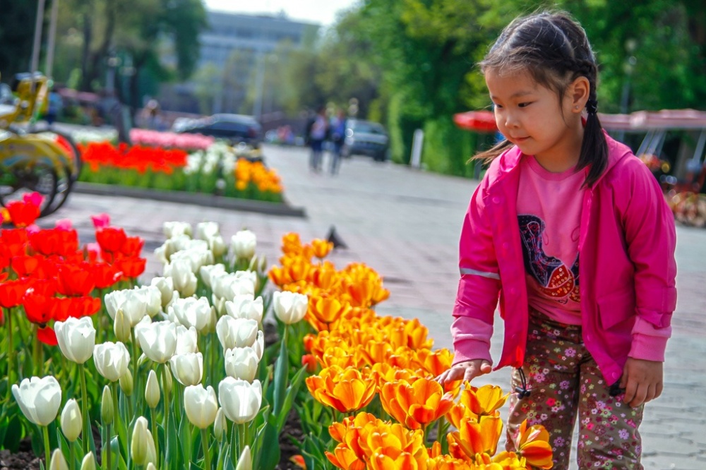Фото с тюльпанами на улице весной