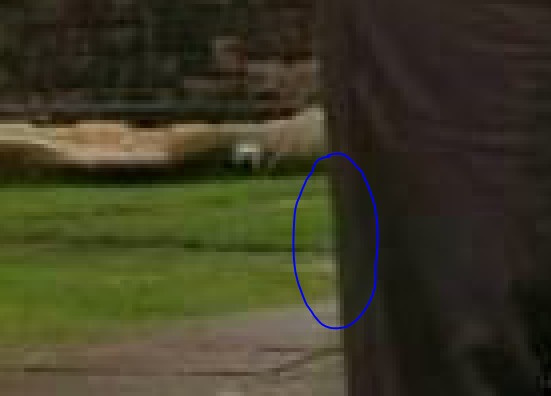 Неприличное фото Чубак ажы возле статуи. Фотошоп?