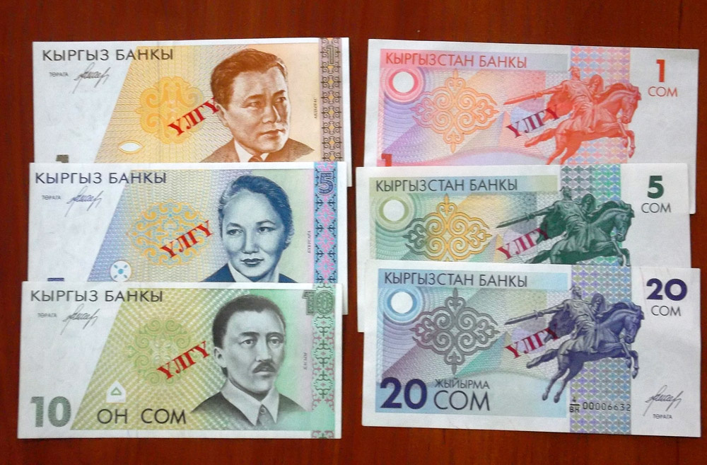 Купюры сом. Валюта Кыргызстана. Киргизский сом. Национальная валюта Кыргызстана. Кыргыз сом валюта.