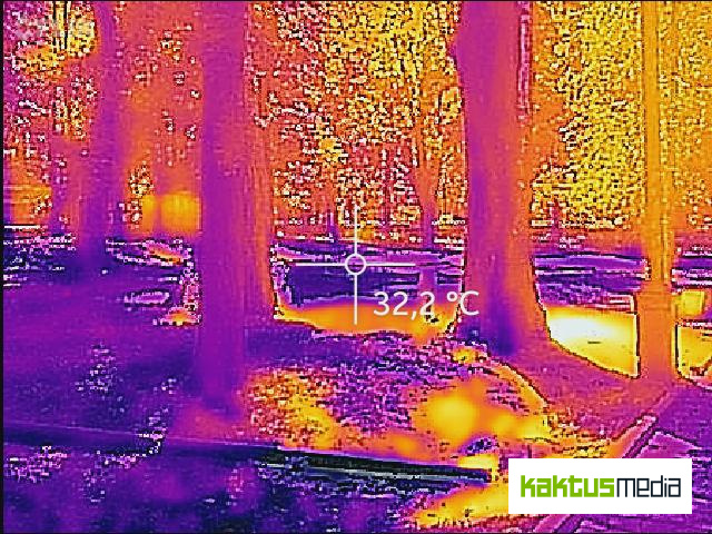 Эксперимент с тепловизором: какую температуру ощущают бишкекчане после вырубки деревьев
