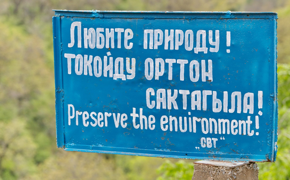 Исчезающий Кыргызстан: Арсланбобские леса уже не смогут восстановиться (фоторепортаж)