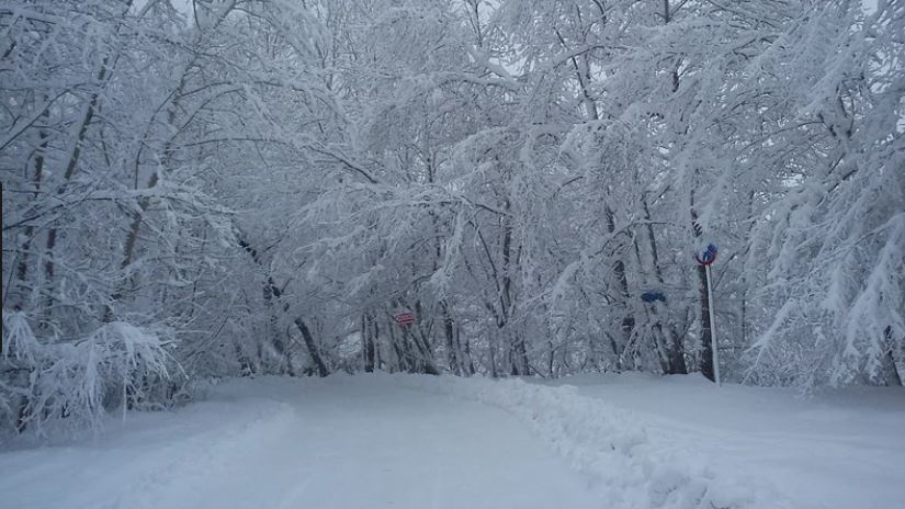 Морозный февраль. Синоптики сообщили, надолго ли холода в Кыргызстане