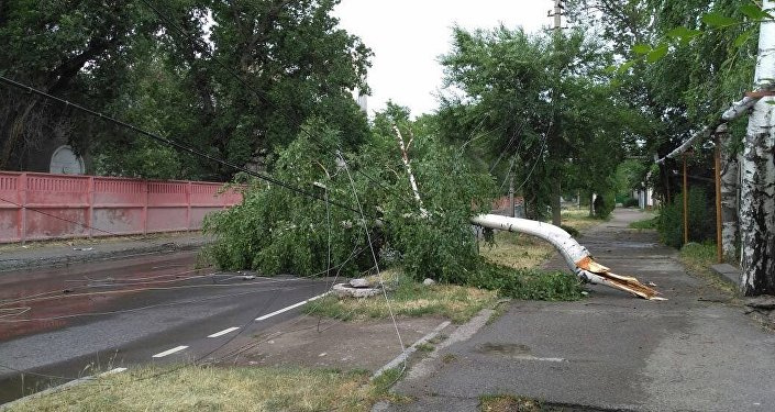 Внимание! В Бишкеке и Чуйской долине в ближайшие 3 часа ожидается шквалистый ветер