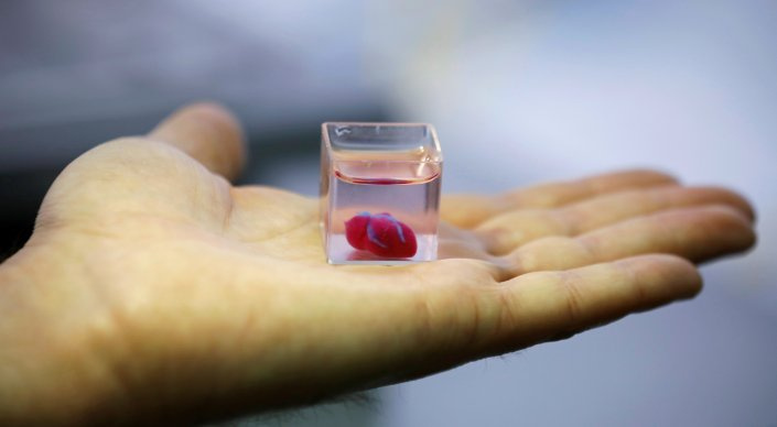 Живое сердце впервые напечатали на 3D-принтере в Израиле