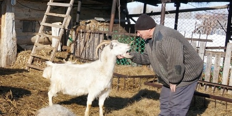 Главный ветеринар Кыргызстана сравнил людей с домашней скотиной (видео)