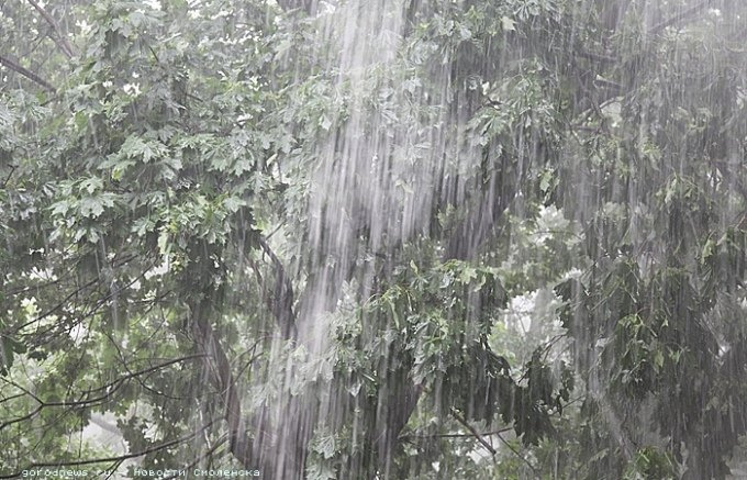 Сильный дождь. Сильный ливневый дождь. Сильный дождь. Сильный ливень. Сильный дождь.