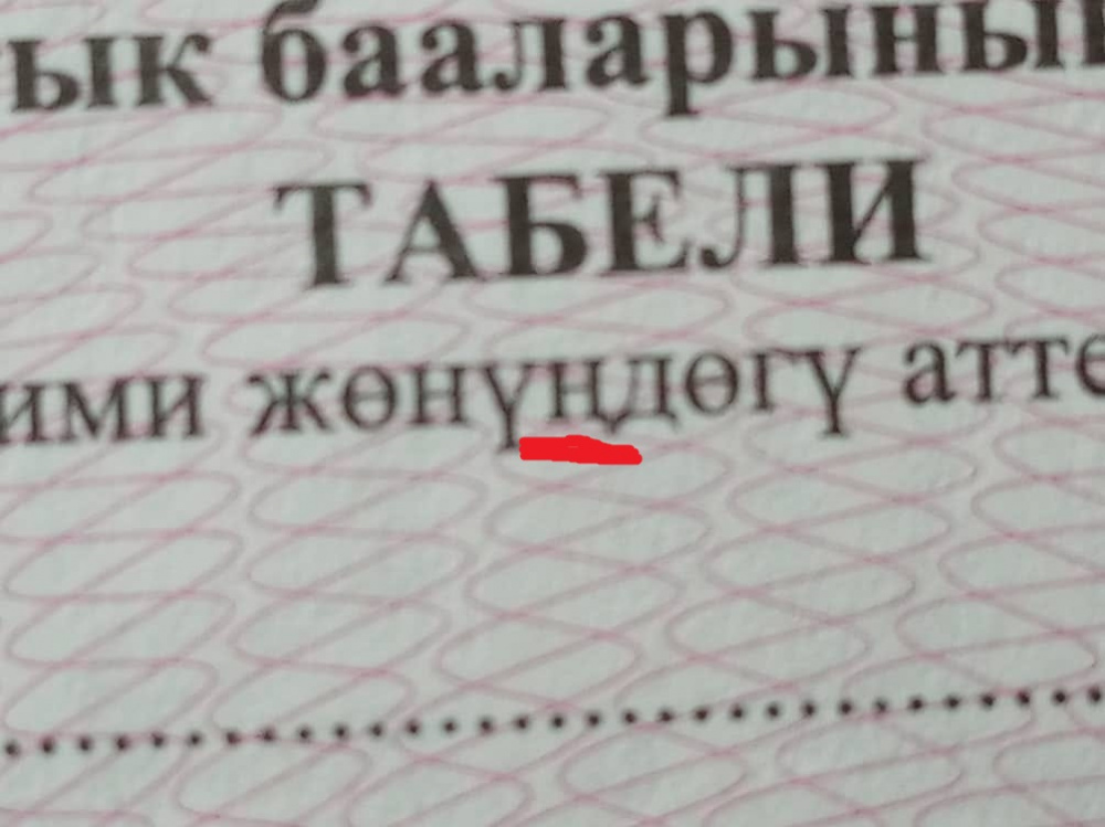 Ошибка в одной букве билета. Карасаевдин орфографиялык создугу.