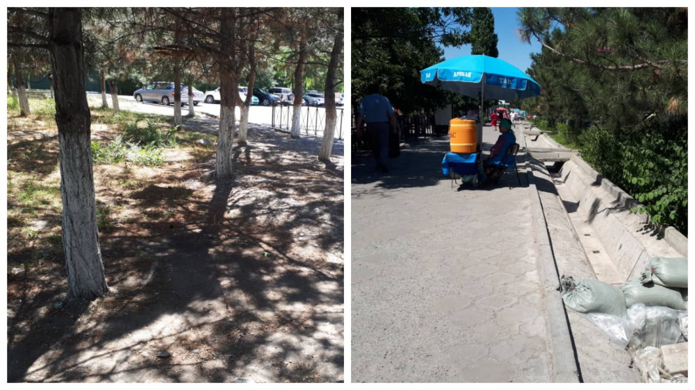 Call-центр: в Бишкеке в арыках нет воды, деревья засыхают