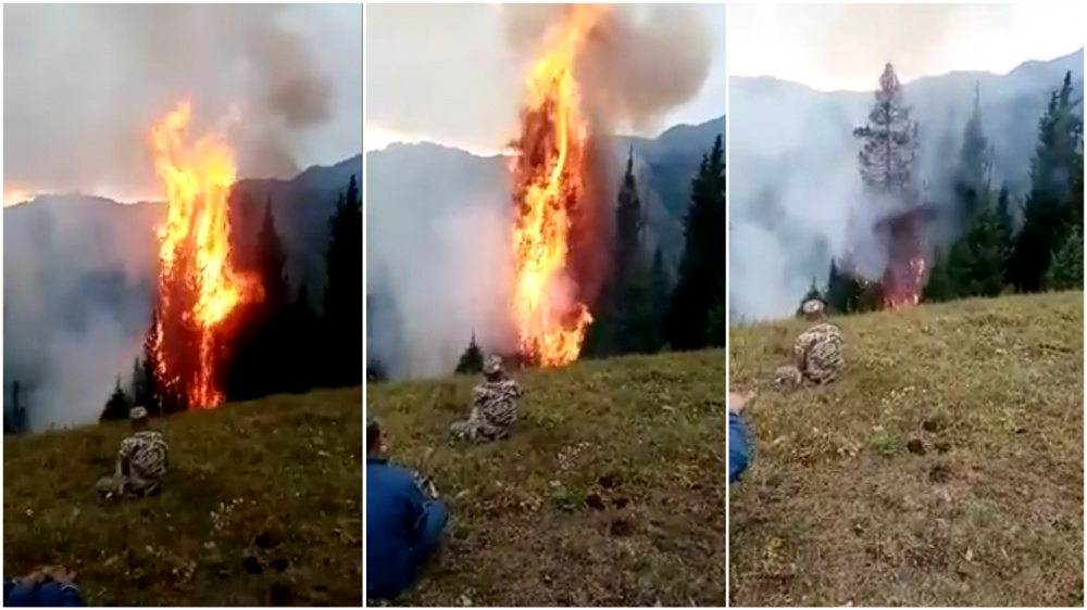 На Иссык-Куле начались лесные пожары. Огонь тушит 161 человек