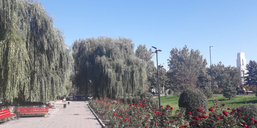 В ближайшие дни в Бишкеке ожидается повышение температуры. Прогноз погоды
