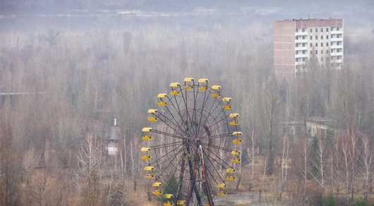 Редкую ядовитую змею засняли в Чернобыльской зоне отчуждения