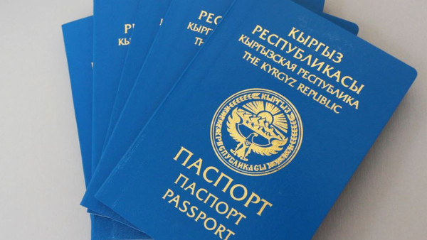 Сколько человек получили гражданство Кыргызстана и вышли из него