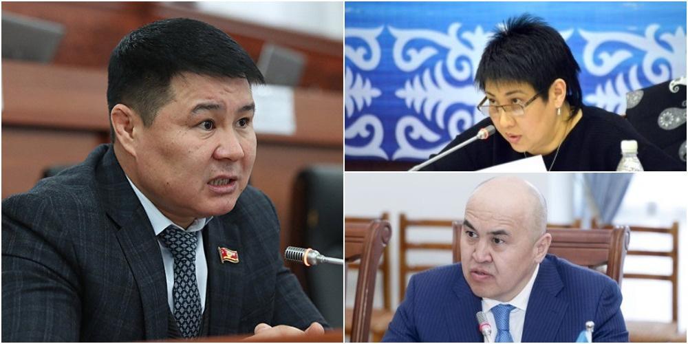 Депутаты не захотели запрещать детям коррупционеров участвовать в выборах
