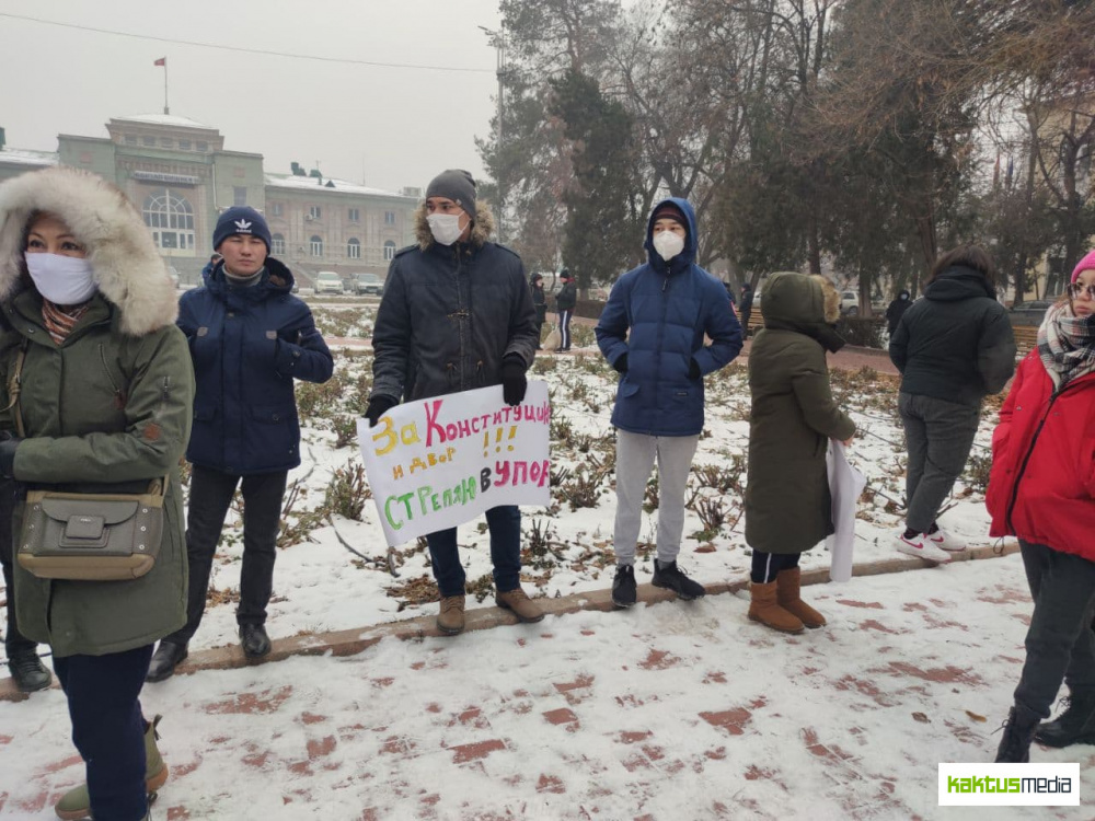 Митинг против поправок. ЛДПР лозунги на митингах.