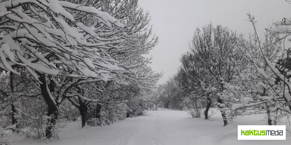 Будет ли снег на выходных в Бишкеке? ❄️Прогноз погоды