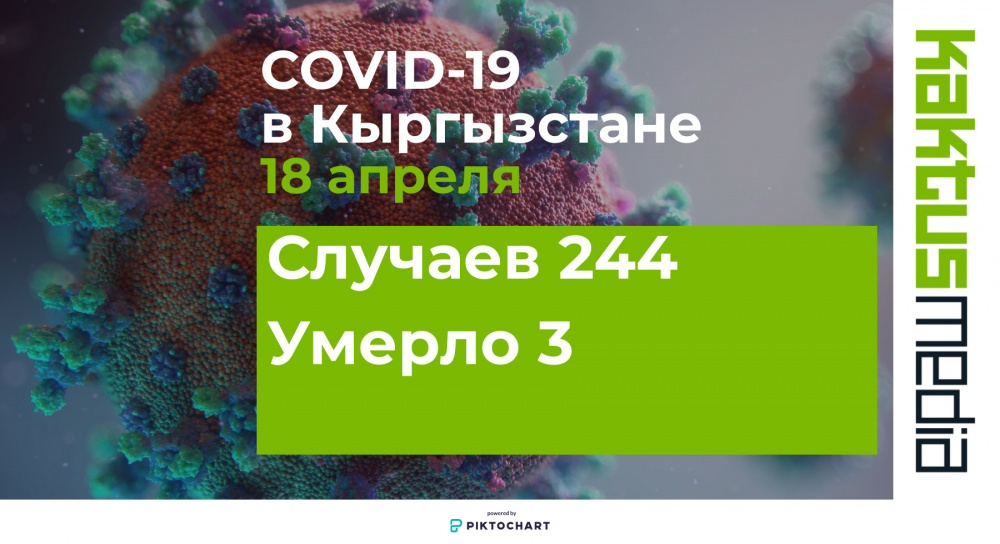 Коронавирус в Кыргызстане: выявлено 244 новых случая, трое умерли