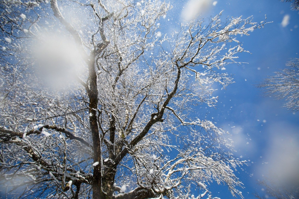 Кыргызгидромет снова сообщил о снеге. Прогноз погоды в Бишкеке на 9-15 февраля