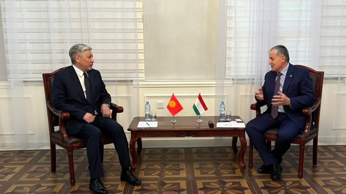Посол Эрлан Абдылдаев вручил верительные грамоты главе МИД Таджикистана