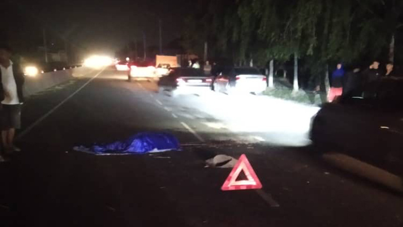 На трассе Бишкек - Чалдыбар водитель Mercedes-Benz насмерть сбил 70-летнего мужчину