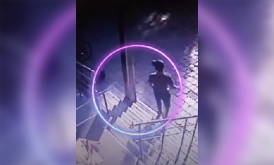 Момент кражи в Бишкеке попал на видео