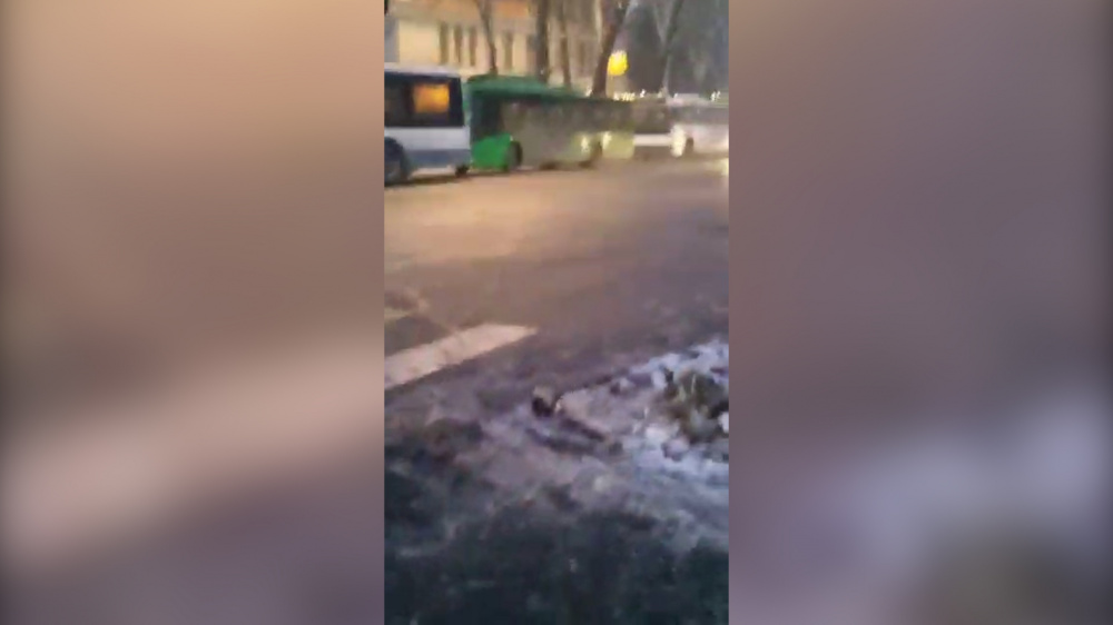 В Бишкеке на пр. Манаса встали троллейбусы (видео)
