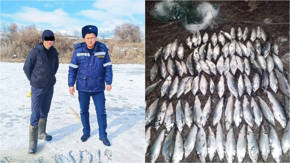 На Иссык-Куле у браконьеров изъяли выловленную рыбу