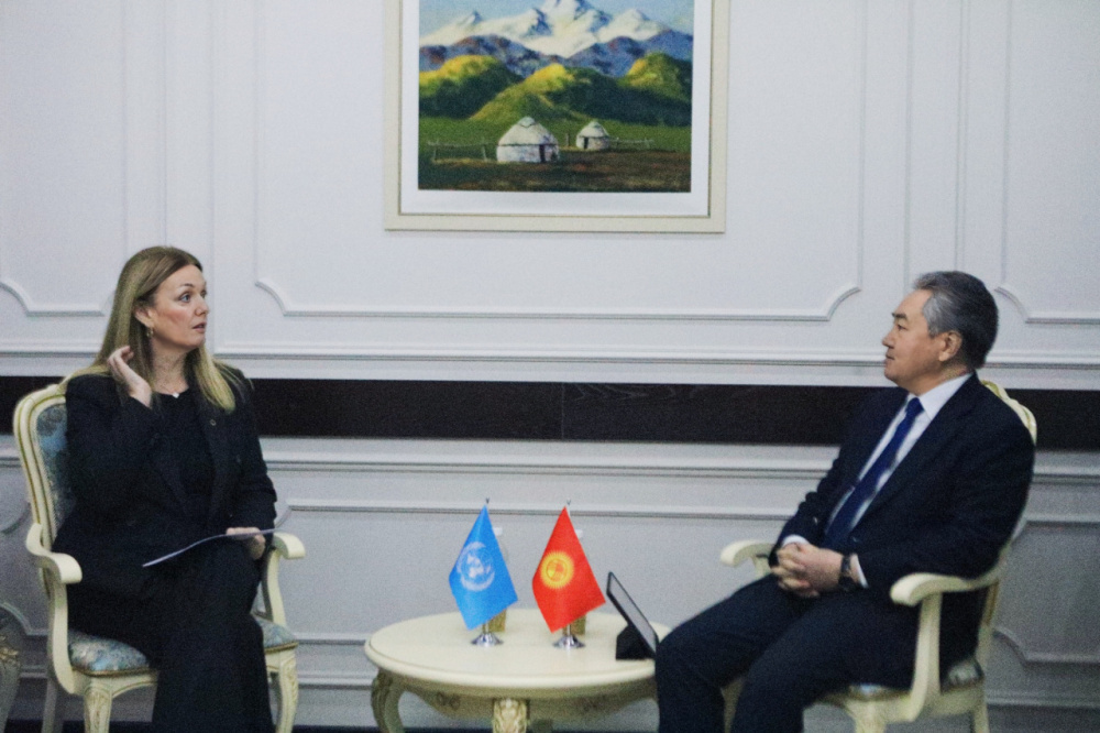 Жээнбек Кулубаев провел встречу с помощником генсека ООН