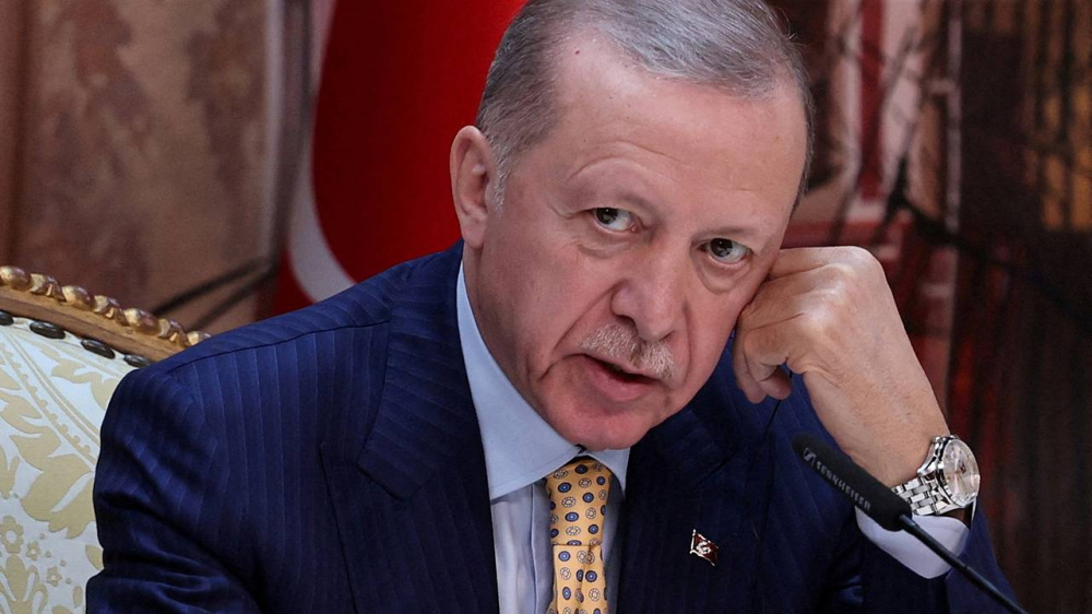 Эрдоган - Путину: Необходимо срочно покончить с кризисами мирным путем