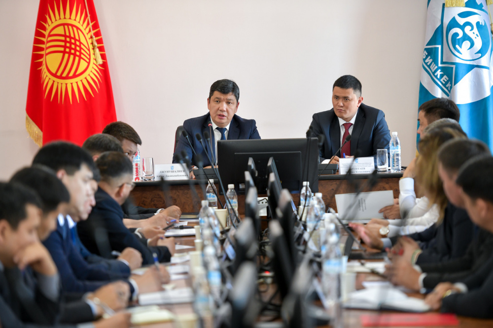 Мэр Бишкека поручил подать иски в суды по участкам в парке Ататюрка