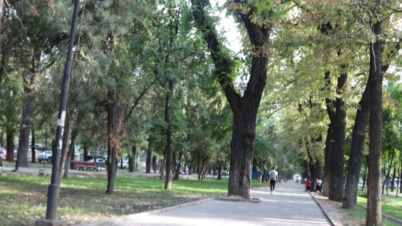 В Бишкеке произошла драка со стрельбой