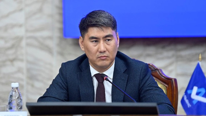 Депутат: Кыргызстан намерен отдать Казахстану и Узбекистану по 33% доли в 