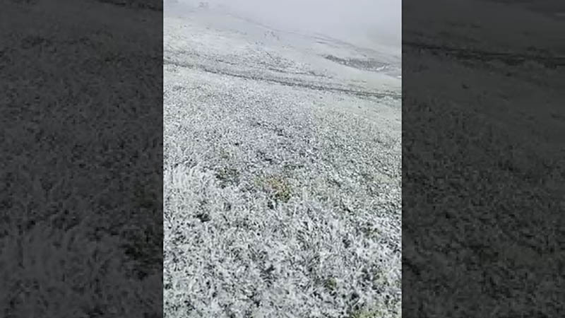 В Таласе пошел снег (видео)