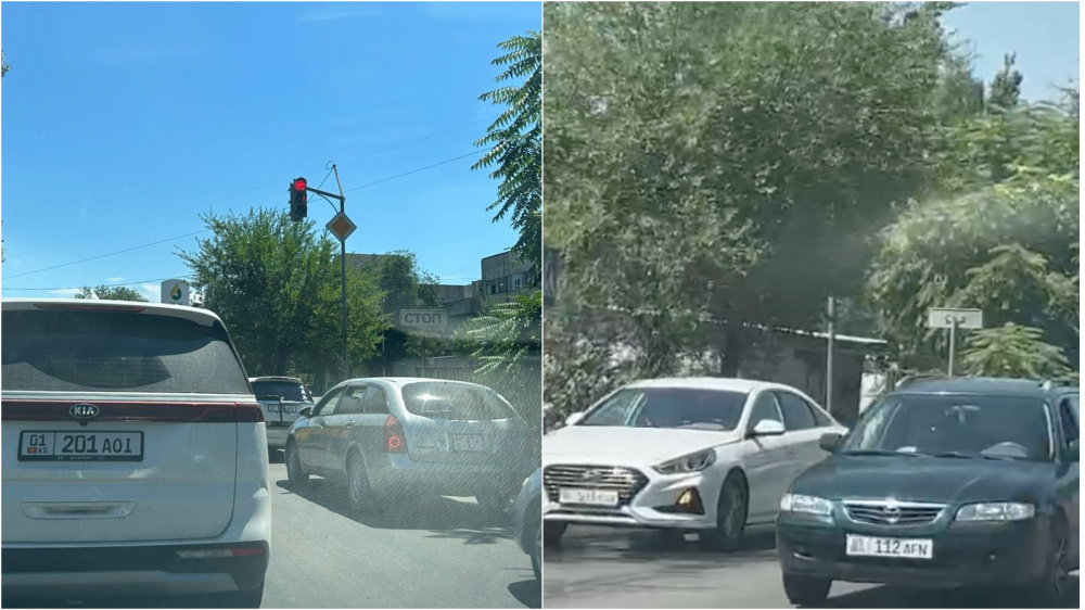 Call-центр: дерево закрыло светофор. Водители опасаются ДТП на ул. Льва Толстого