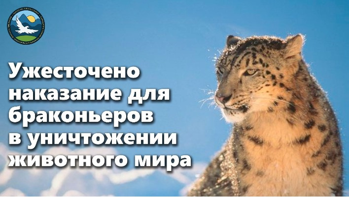 В Кыргызстане значительно повысили штрафы за незаконный отстрел диких животных