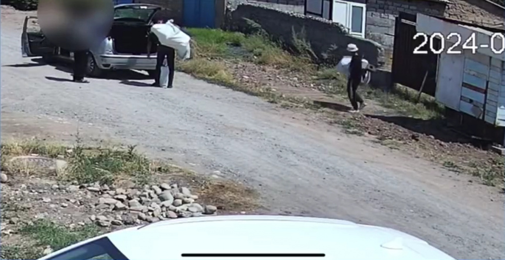 Момент кражи в частном доме в Бишкеке попал на камеру (видео)