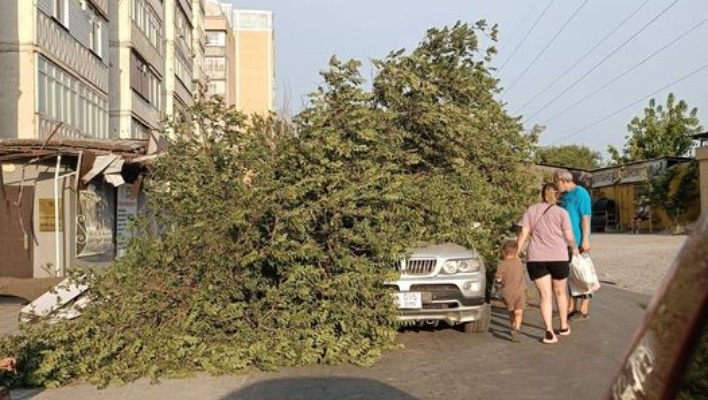 Сильный ветер в Бишкеке повредил крыши нескольких зданий и четыре автомобиля