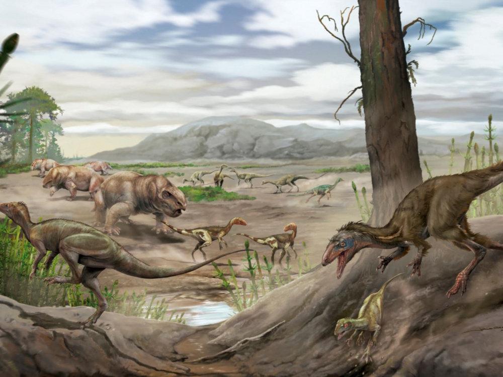 Anteavis crurilongus.