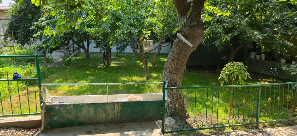 Детдом семейного типа "Алтын Уя" может закрыться. Горкенеш Оша пытается забрать участок