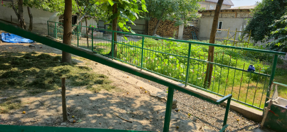 Детдом семейного типа "Алтын Уя" может закрыться. Горкенеш Оша пытается забрать участок