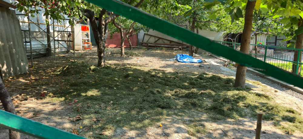 Детдом семейного типа "Алтын Уя" может закрыться. Горкенеш Оша пытается забрать участок