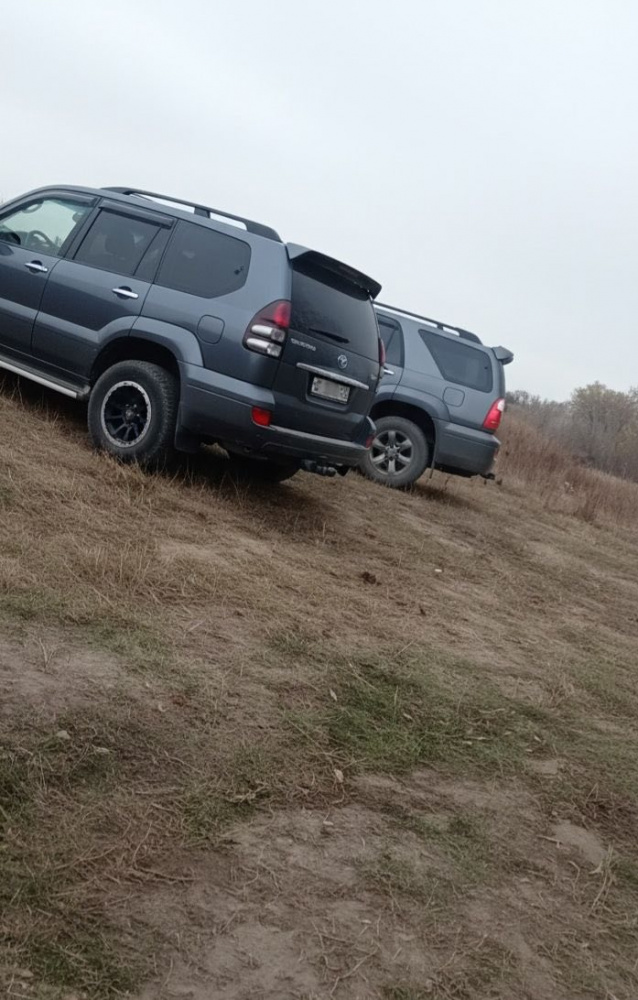 В Чуйской области зафиксирован факт незаконной охоты на фазанов.