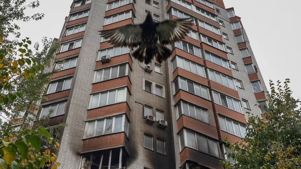 Голубь на фоне здания, поврежденного при атаке дронов в Киеве. Фото Alina Smutko / Reuters.