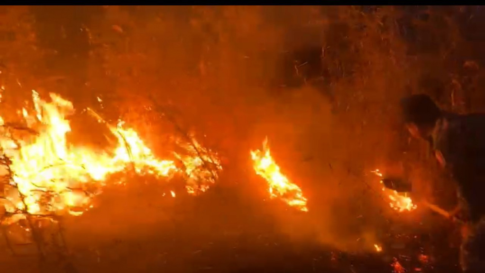 Фото пресс-службы УВД Иссык-Кульской области.