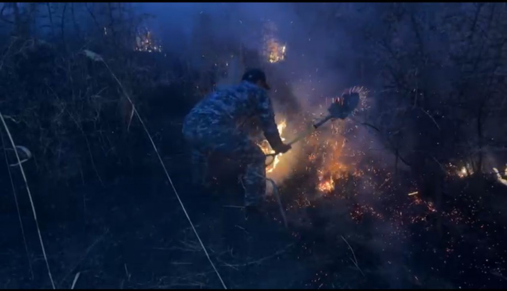 Фото пресс-службы УВД Иссык-Кульской области.