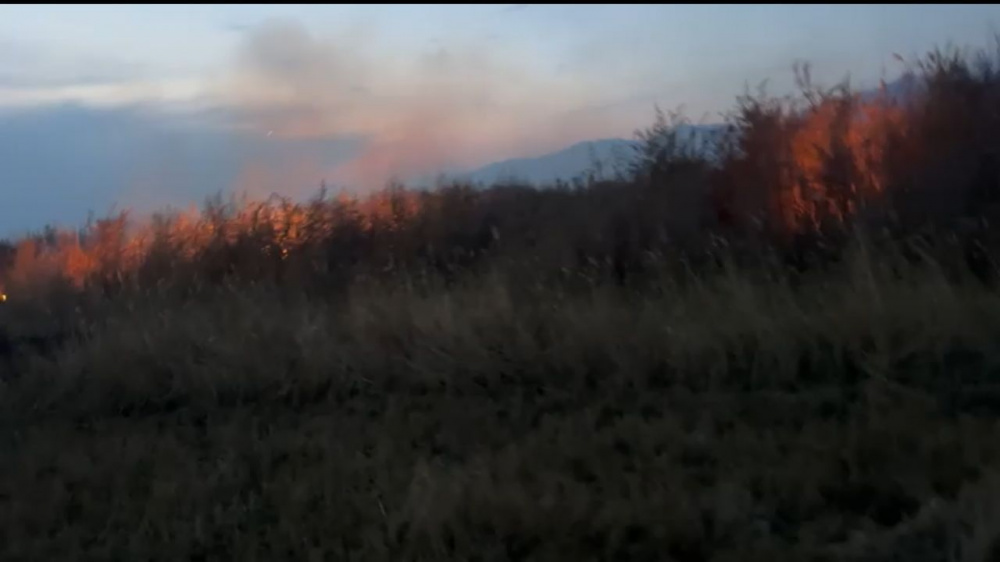 Фото пресс-службы УВД Иссык-Кульской области.