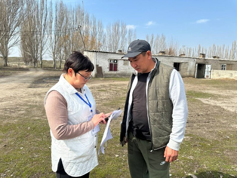 Сельскохозяйственная перепись в Кыргызстане. Названы номера горячей линии
