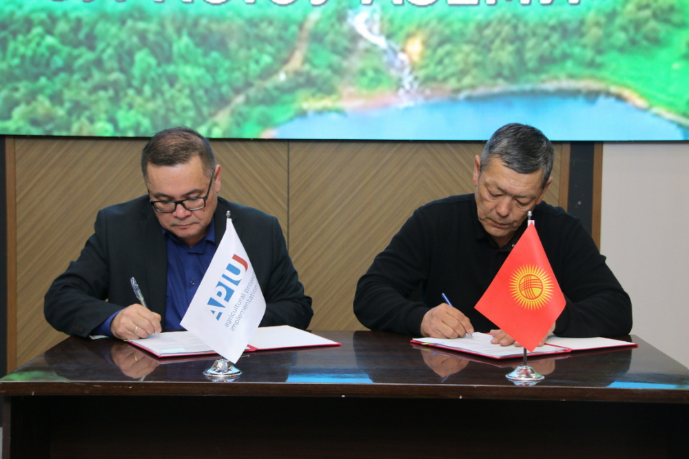 На восстановление лесов в Кыргызстане выделили гранты на сумму более 81 млн сомов