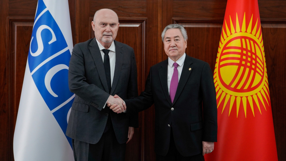 В Бишкеке прошла встреча главы МИД Кыргызстана и генсека ОБСЕ (фото)