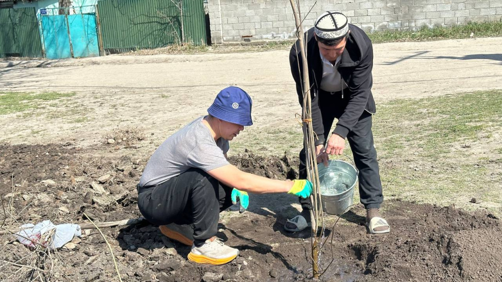 В Бишкеке создают мини-скверы в семи жилмассивах: нужна поддержка горожан