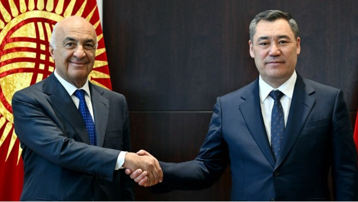 Президент принял главу швейцарской компании, занимающейся экономической безопасностью